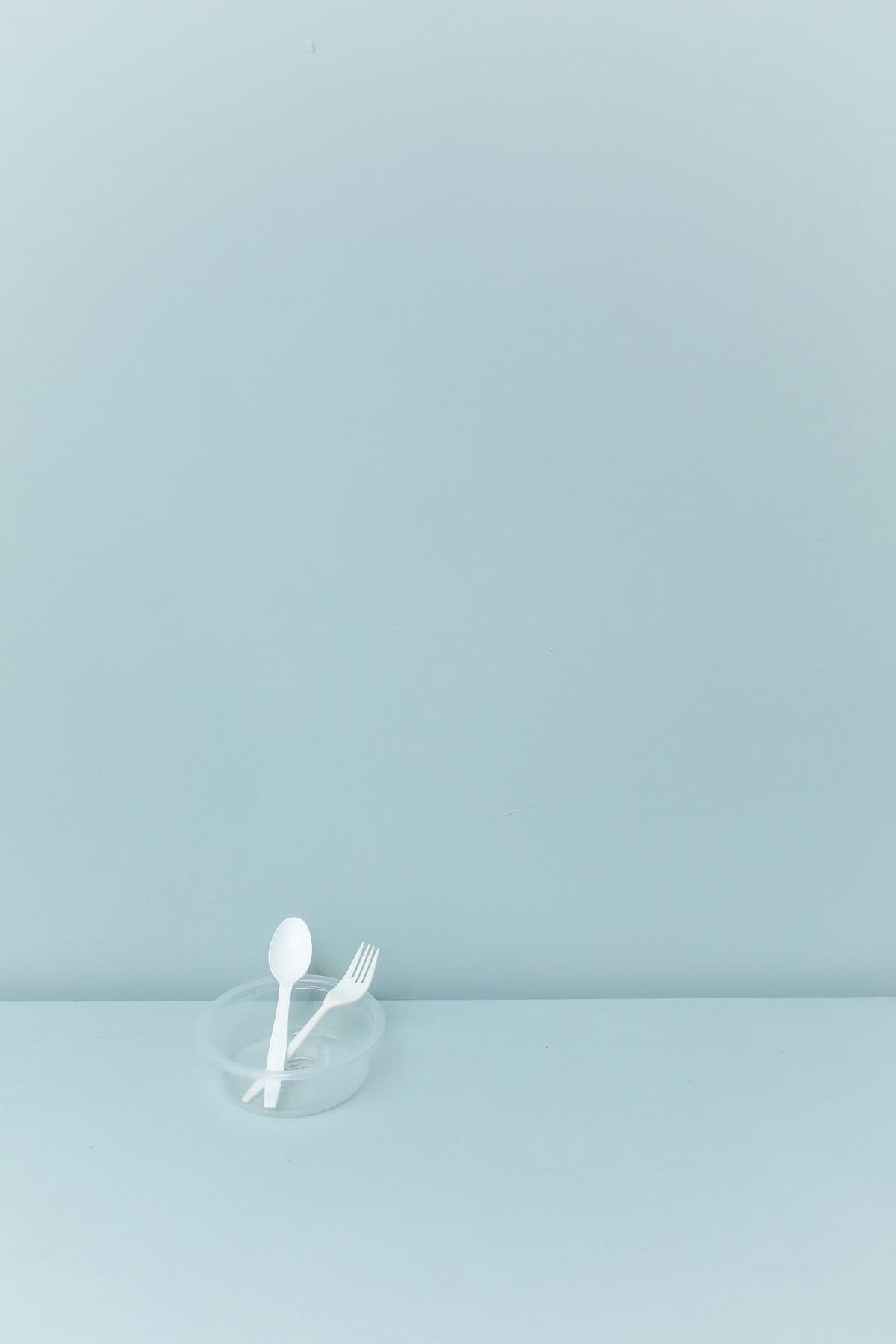 Disposable Tableware